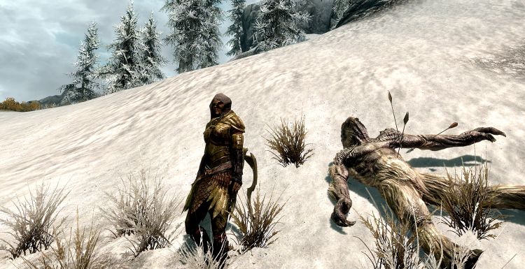 Fonds d'cran Jeux Vido The Elder Scrolls V: Skyrim Troll des neiges