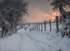  Nature chemin dans la neige
