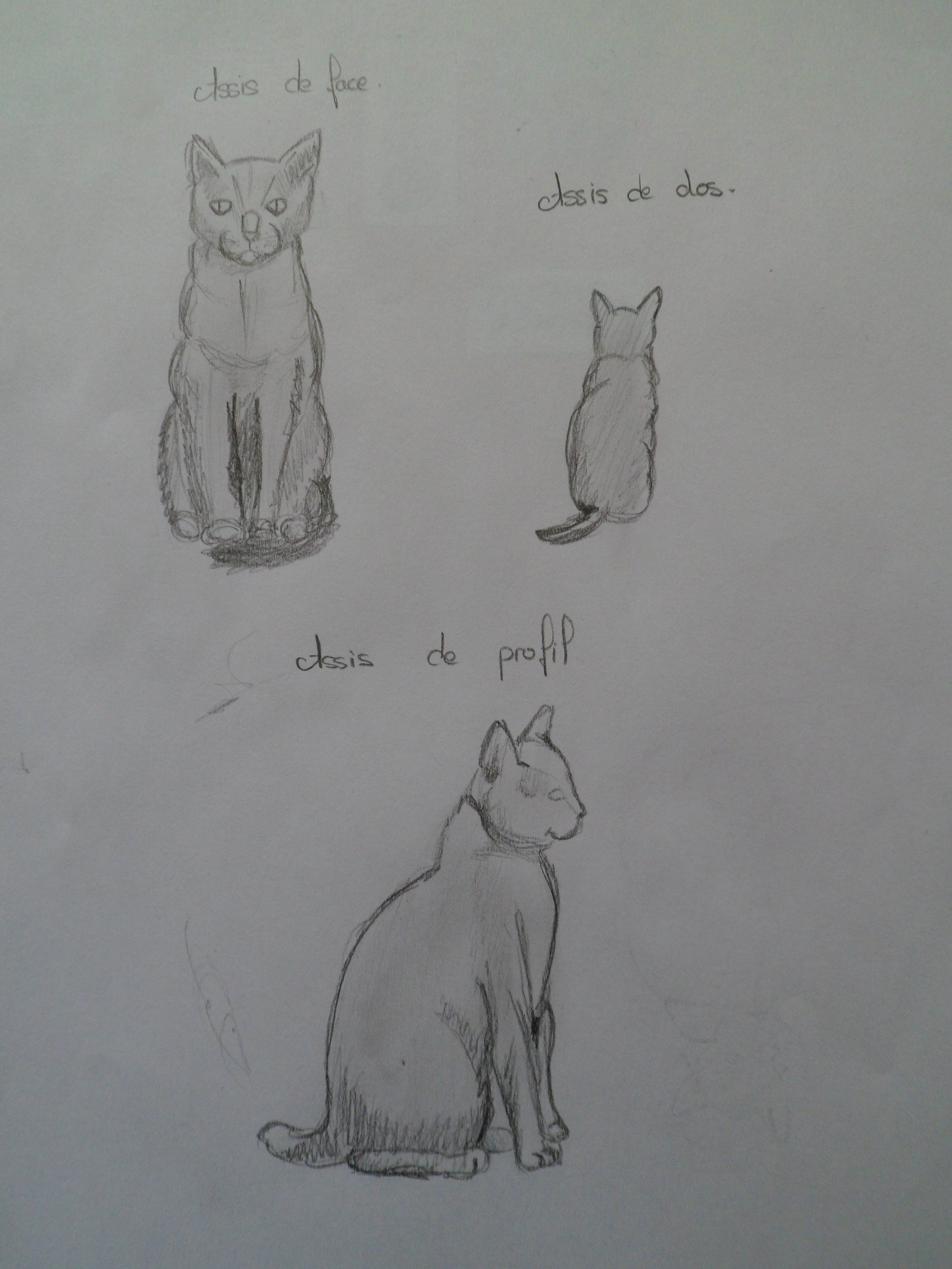 Fonds d'cran Art - Crayon Animaux - Chats autres dessin 