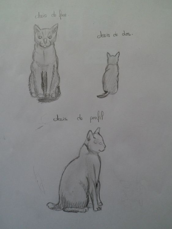 Fonds d'cran Art - Crayon Animaux - Chats autres dessin 