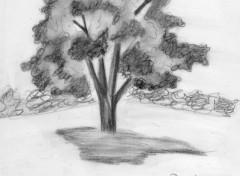  Art - Pencil autres dessin 