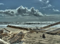  Nature Plage Ile d'olron 