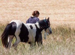  Animaux balade