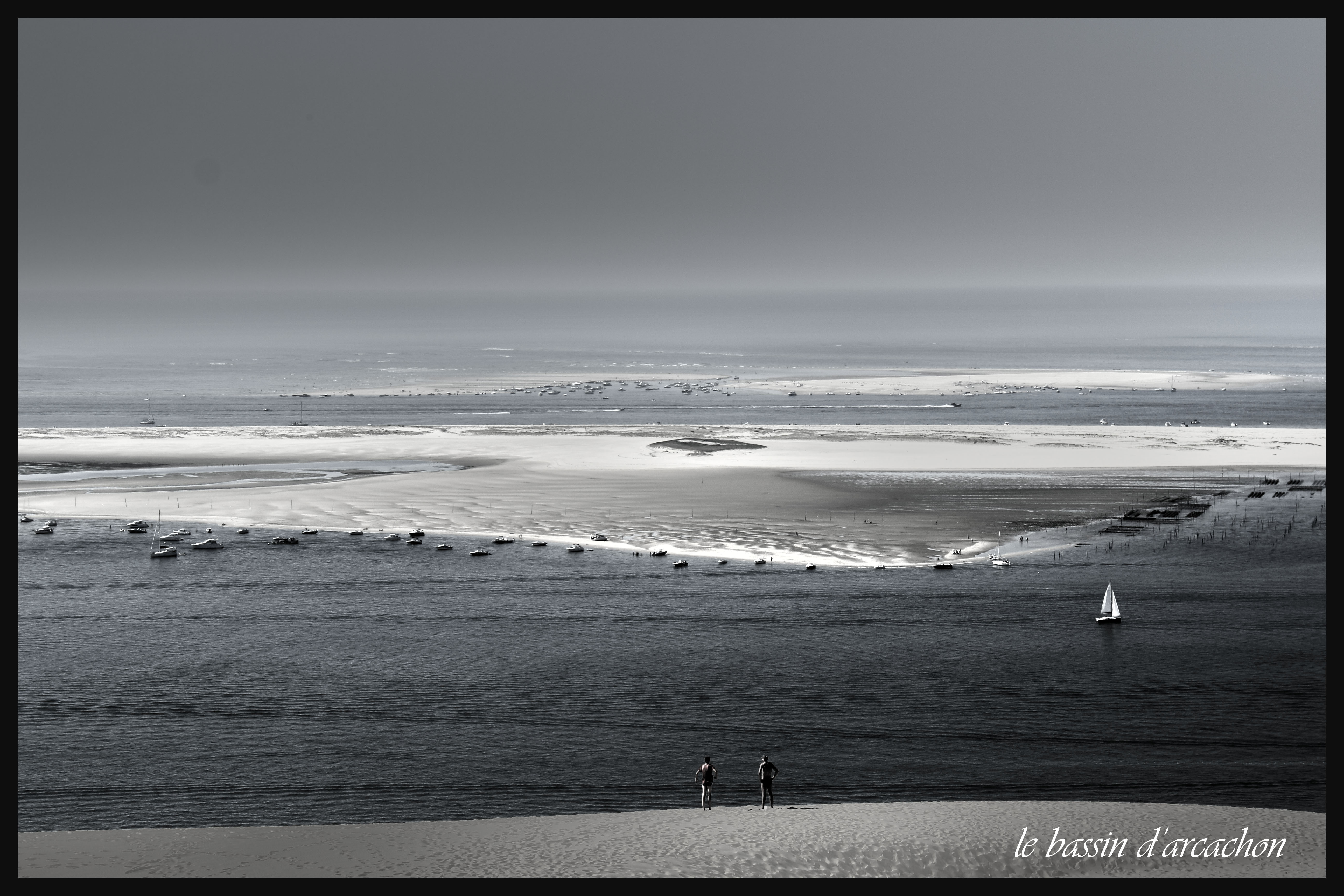 Fonds d'cran Nature Mers - Ocans - Plages le bassin d 'arcachon