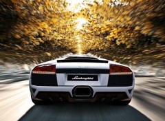  Cars Murcielago