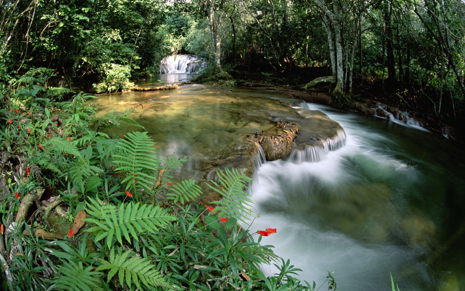 Fonds d'cran Nature Fleuves - Rivires - Torrents 