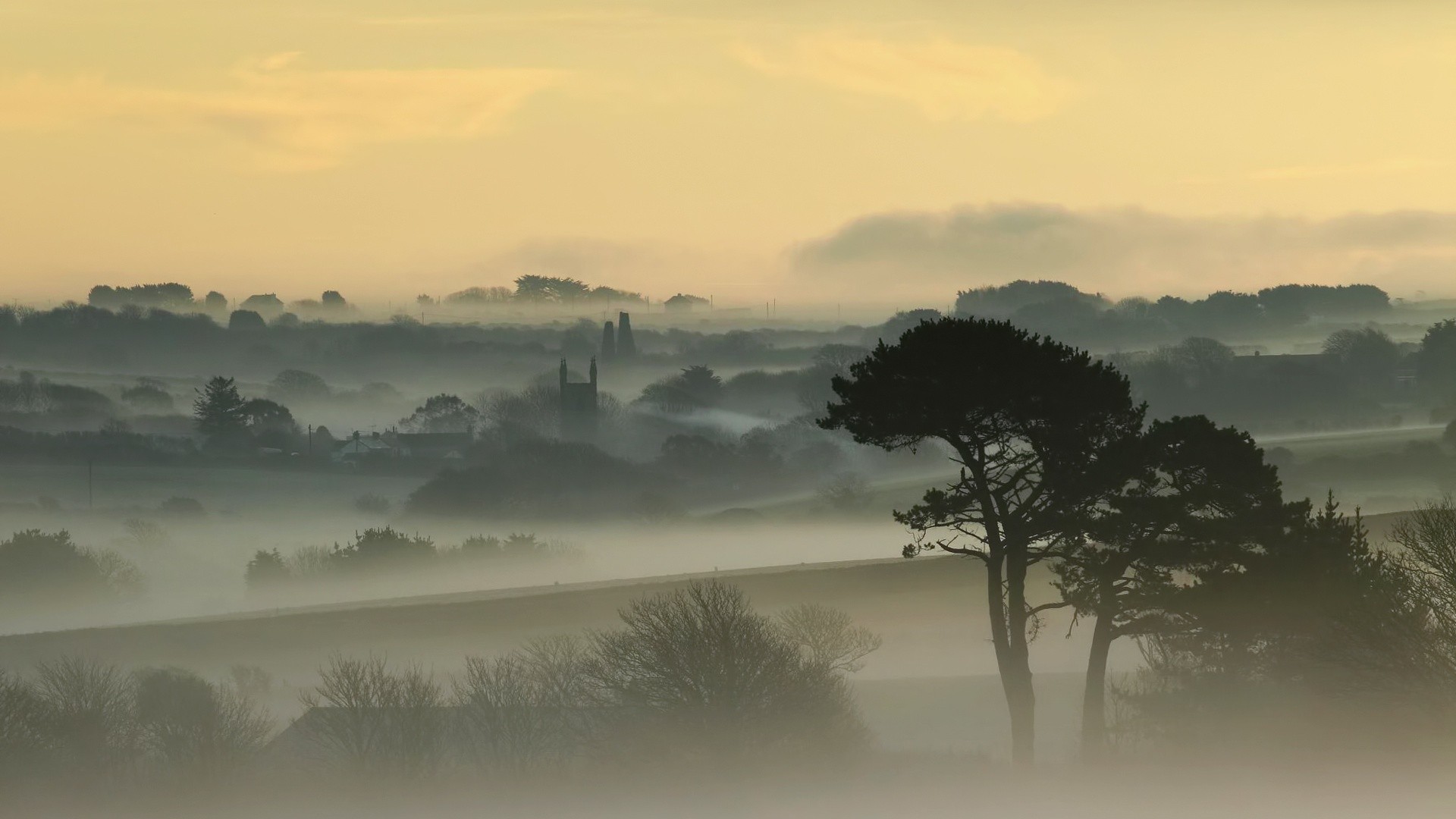 Fonds d'cran Nature Arbres - Forts 