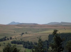  Nature dans le cantal