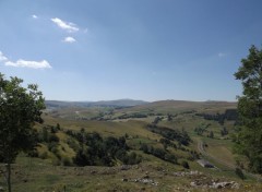  Nature dans le cantal