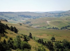  Nature dans le cantal