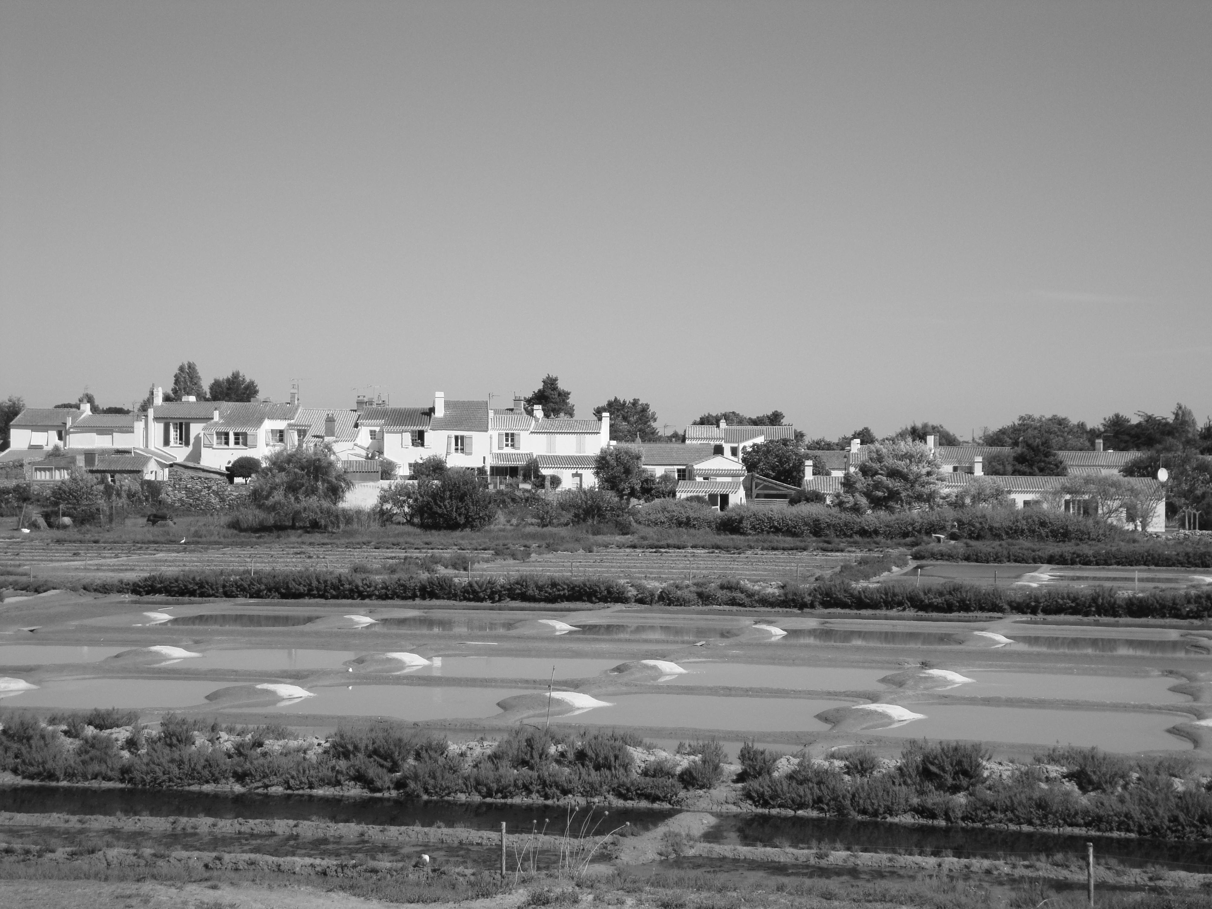 Wallpapers Nature Swamps Marais Salant Ile au Noirmoutier