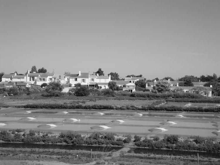 Wallpapers Nature Swamps Marais Salant Ile au Noirmoutier