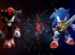  Video Games Sonic et Shadow