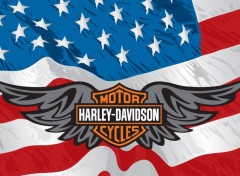  Motorbikes Harley Davidson & American Flag