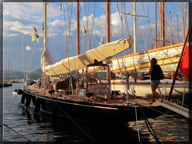 Wallpapers Boats Sailboats Voiles de Saint-Tropez : Velsheda