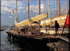 Fonds d'cran Bateaux Voiles de Saint-Tropez : Velsheda