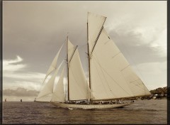  Boats Voiles de Saint-Tropez : Elena