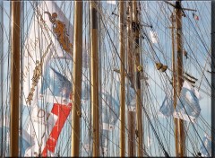  Bateaux Voiles de Saint-Tropez 