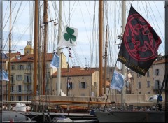  Boats Voiles de Saint-Tropez 