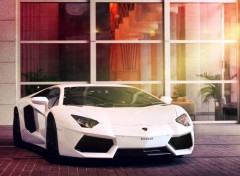  Cars Aventador