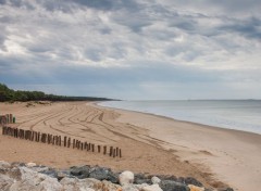  Nature la plage abandonne