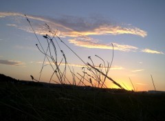  Nature Couch de soleil.