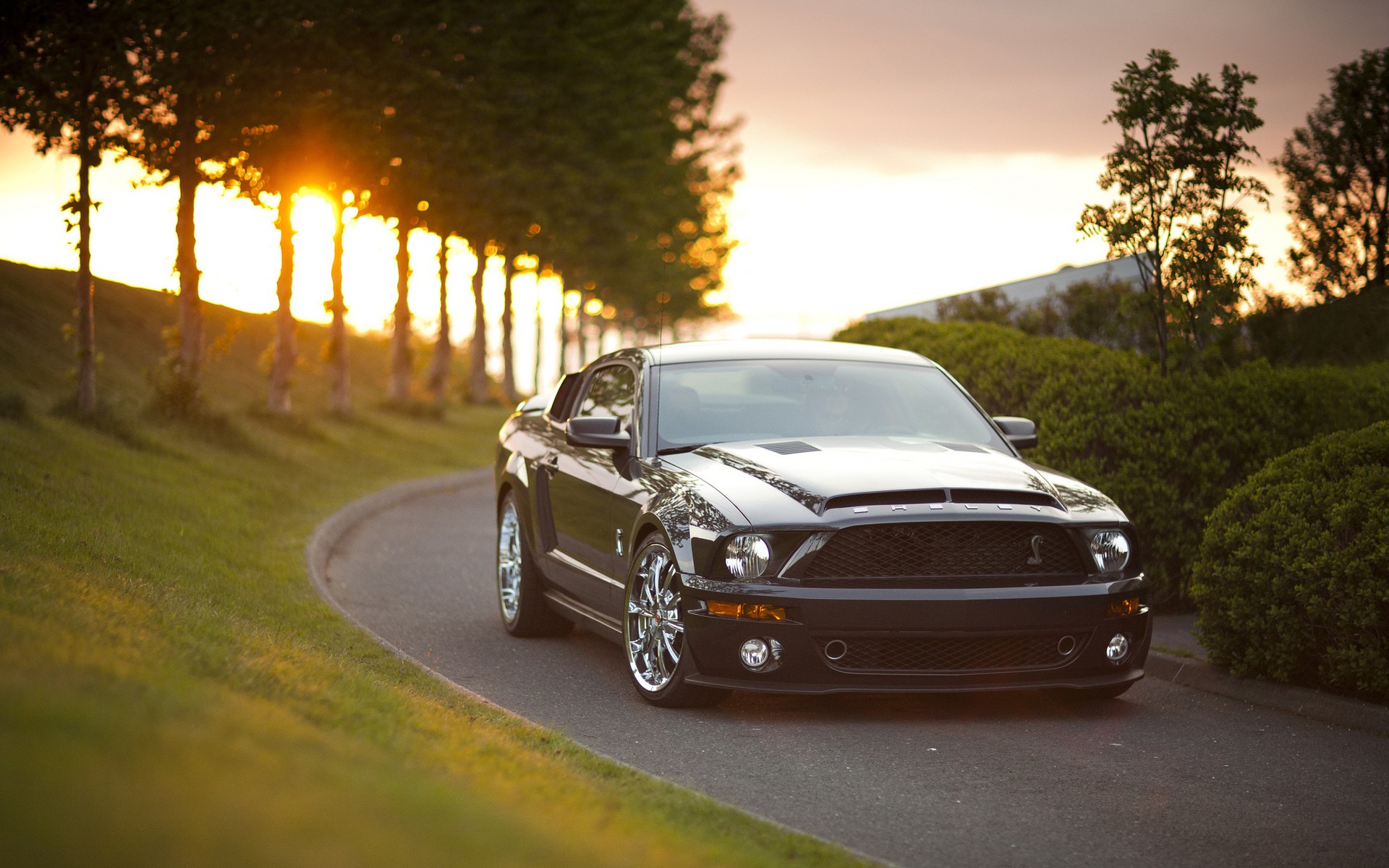 Fonds d'cran Voitures Mustang 