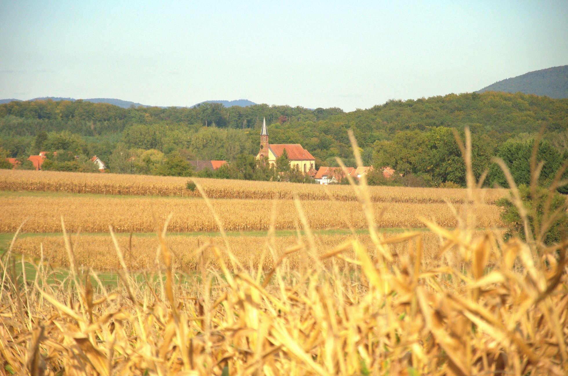 Fonds d'cran Nature Saisons - Automne 