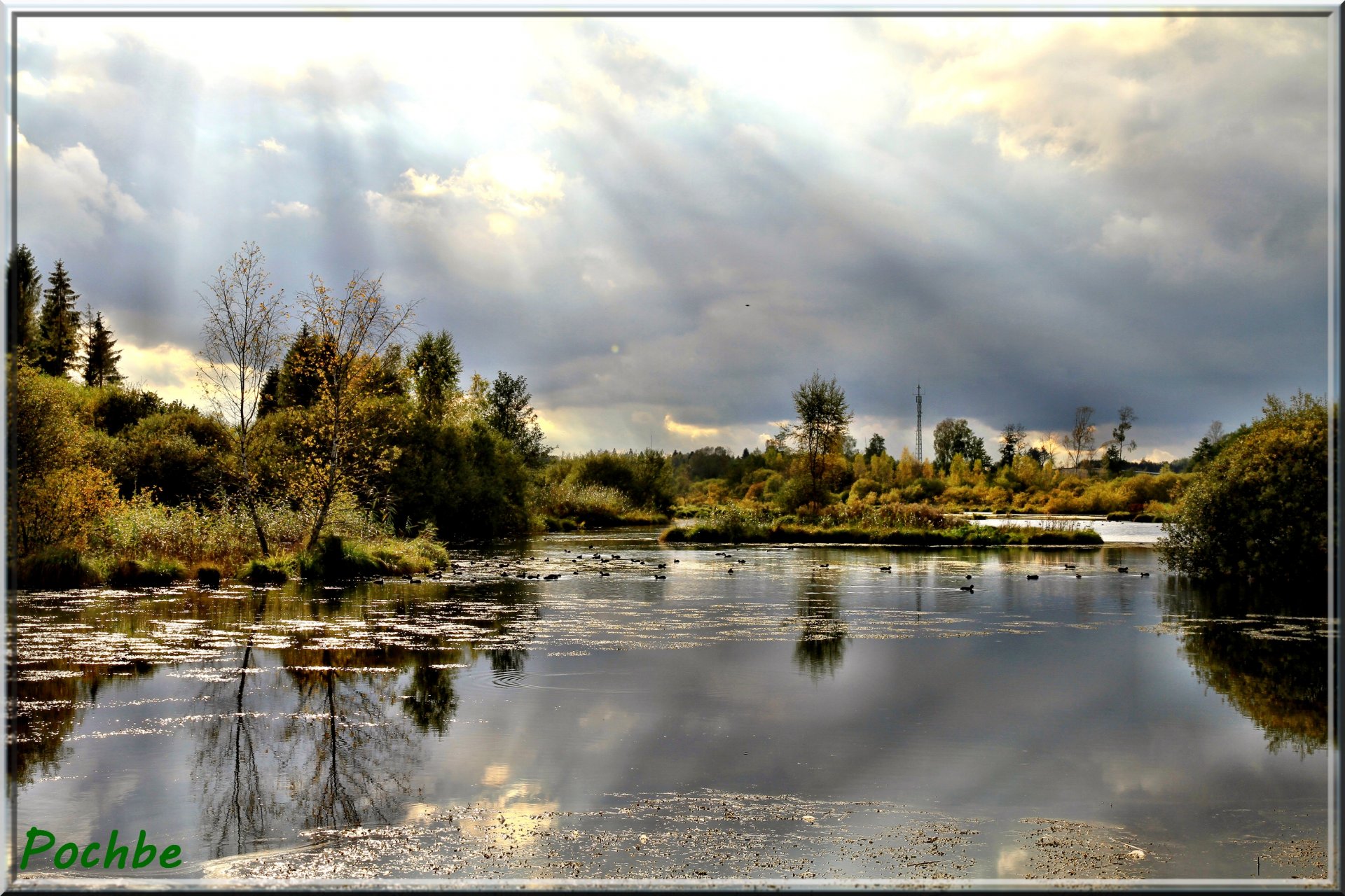 Fonds d'cran Nature Marais 