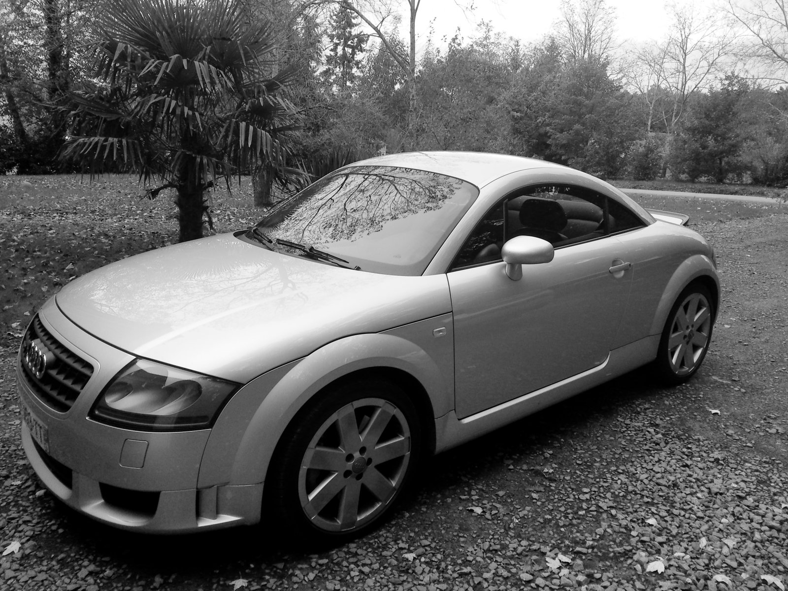 Fonds d'cran Voitures Audi audi TT