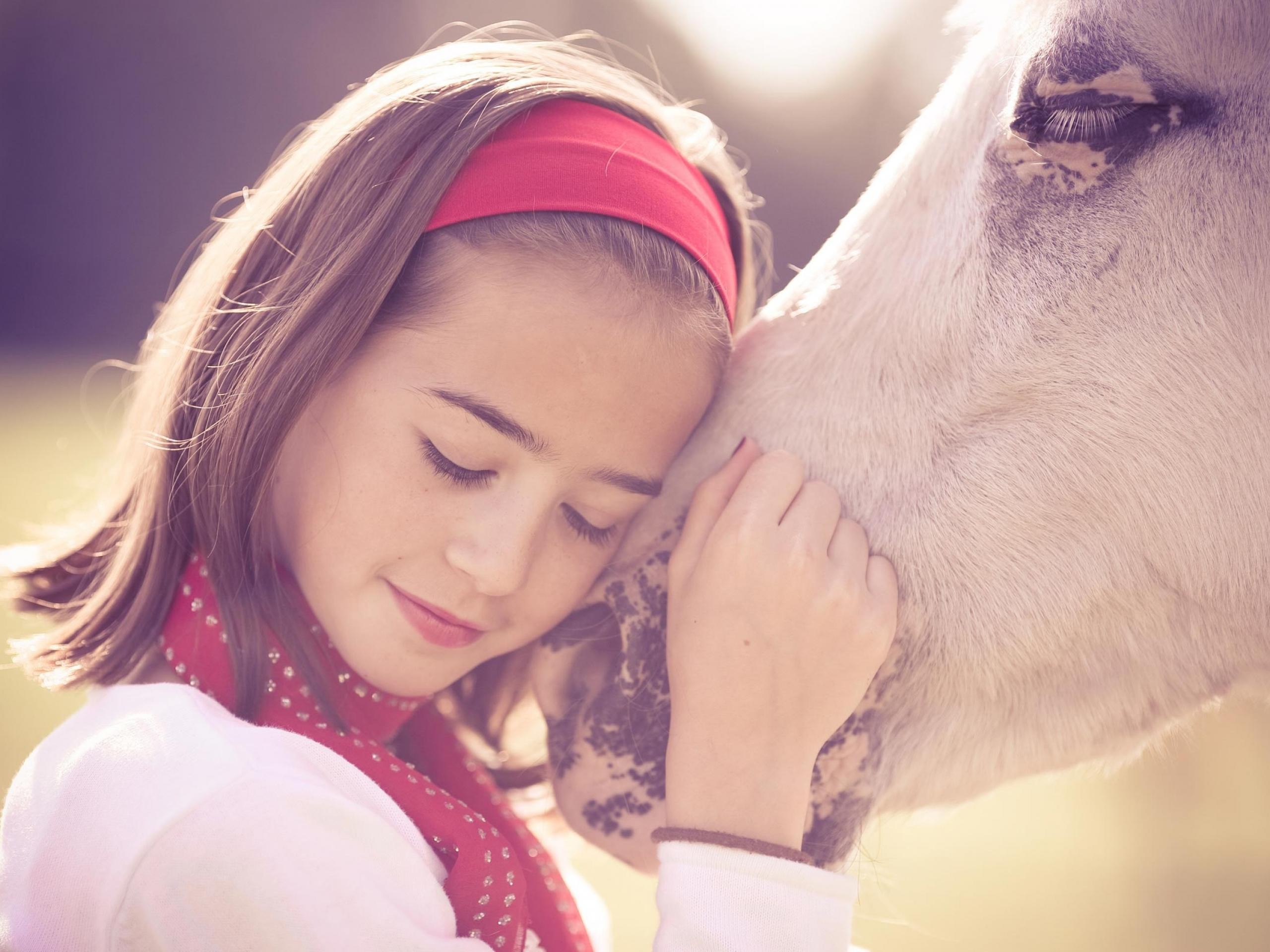 Fonds d'cran Animaux Chevaux 