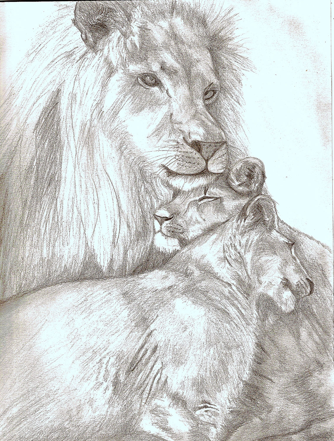 Fonds d'cran Art - Crayon Animaux - Lions Famille de lion