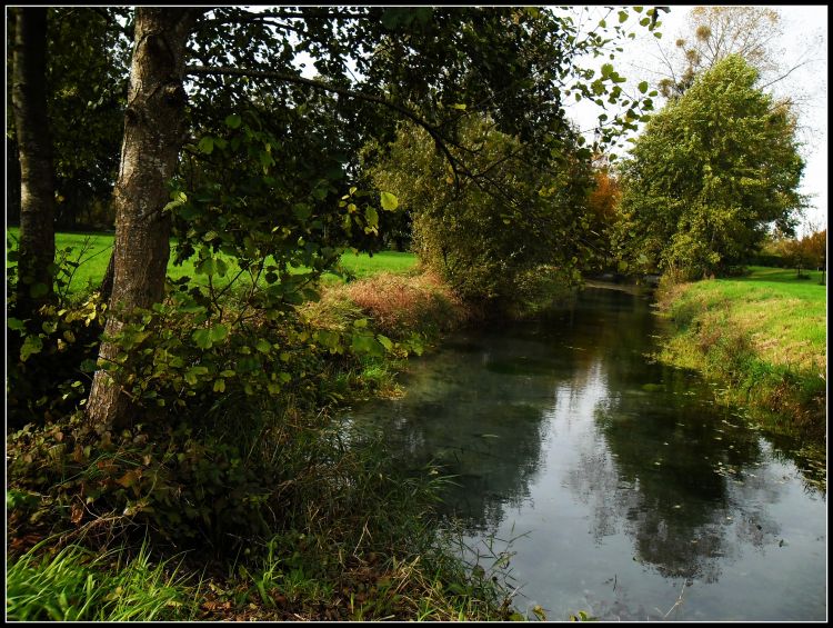 Wallpapers Nature Rivers - Torrents les marais de Sisonne