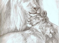  Art - Pencil Famille de lion