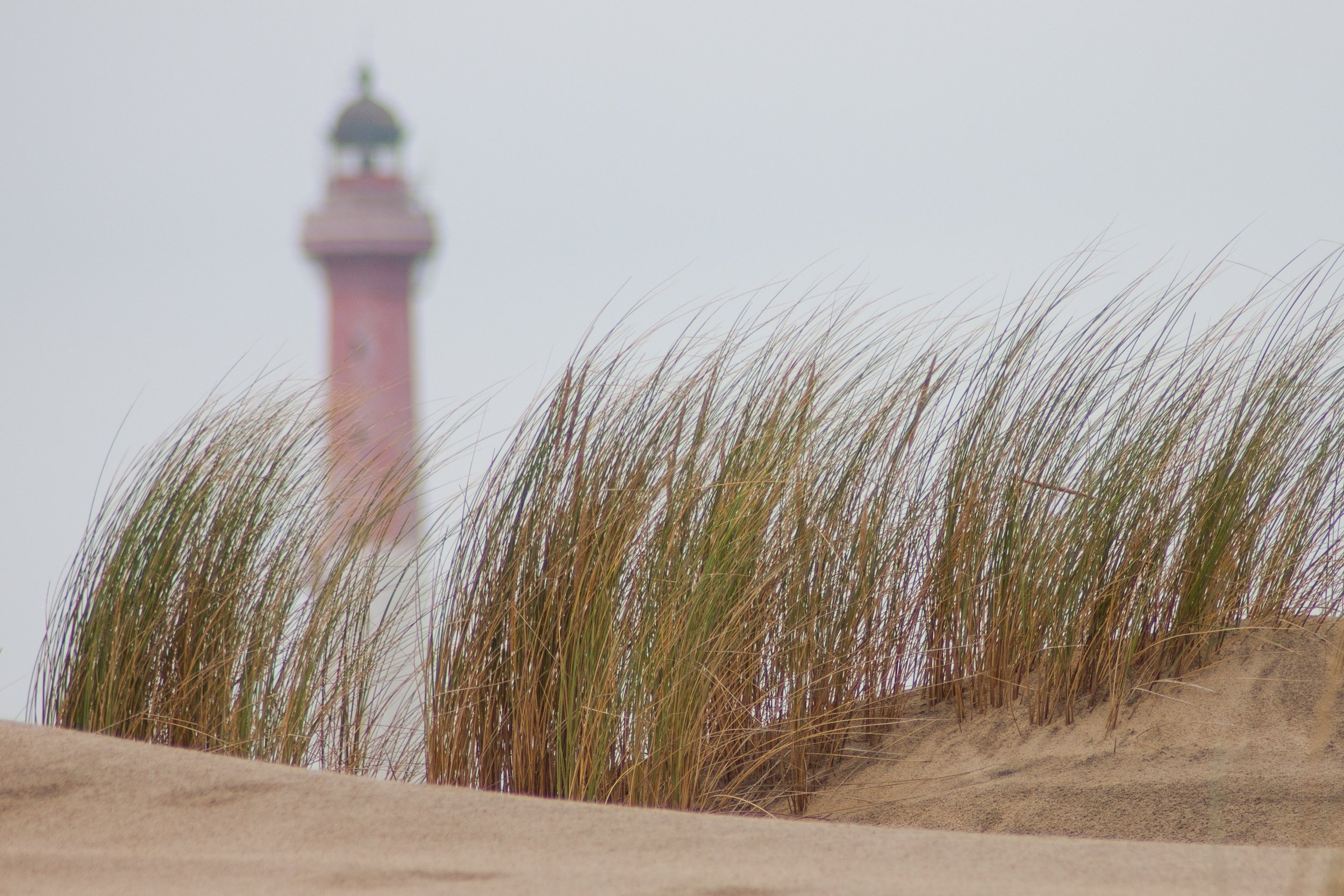 Fonds d'cran Nature Mers - Ocans - Plages la dune