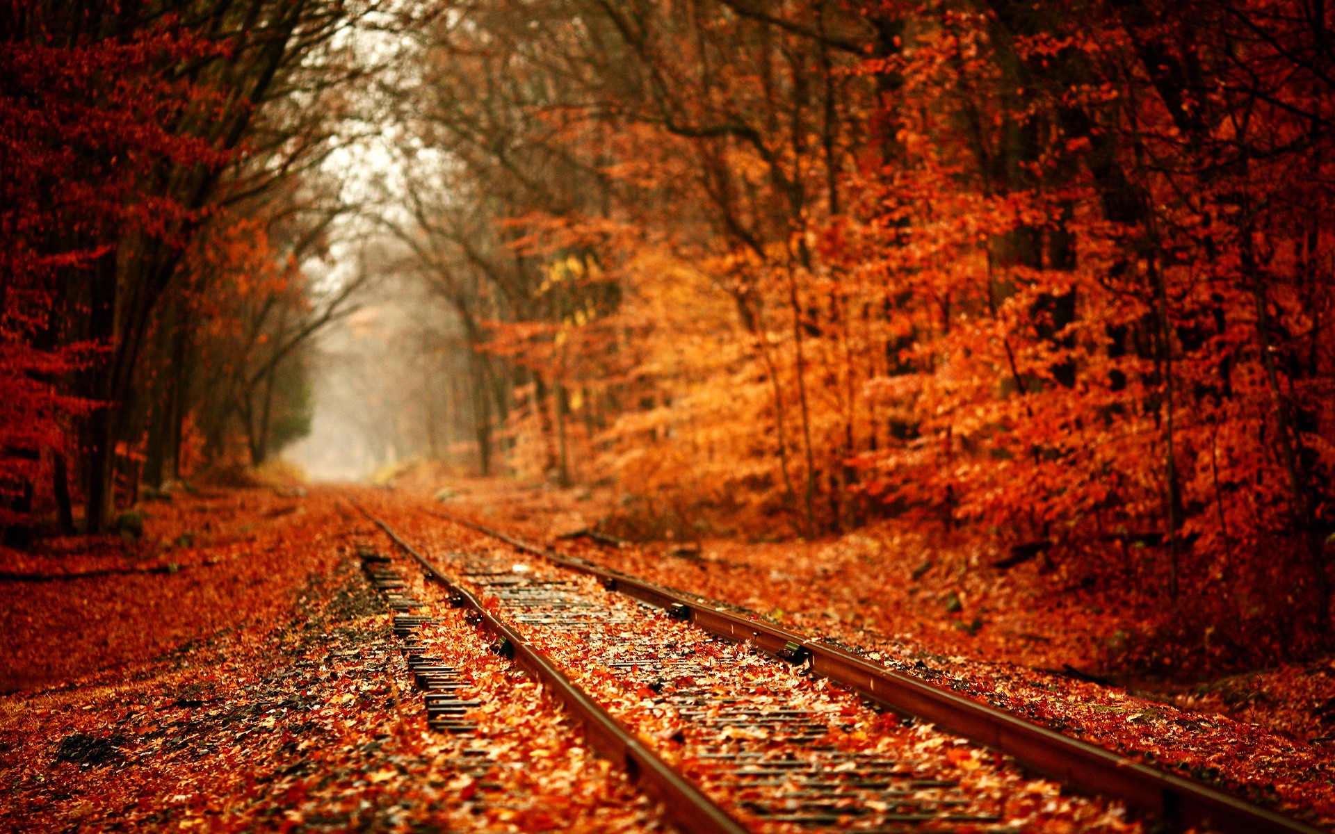 Wallpapers Nature Seasons - Fall 