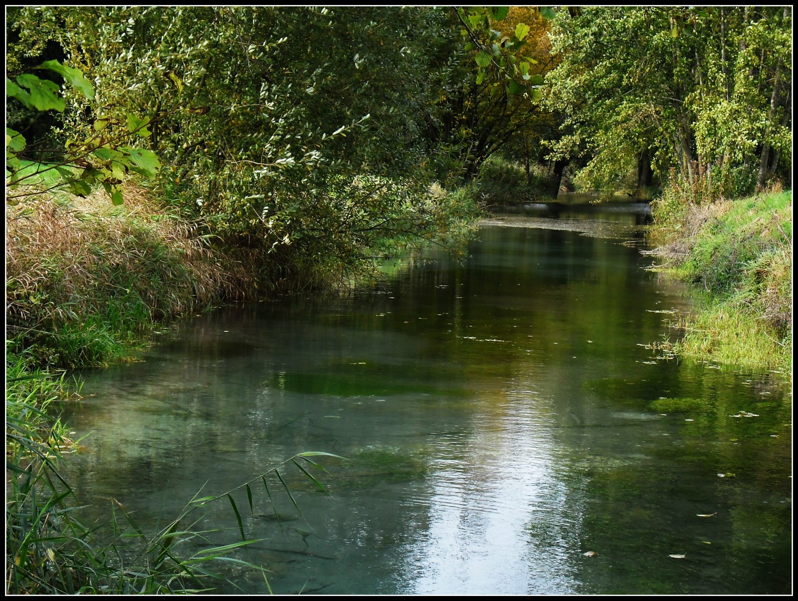 Wallpapers Nature Rivers - Torrents Marais de Sissonne