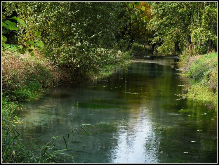 Fonds d'cran Nature Fleuves - Rivires - Torrents Marais de Sissonne