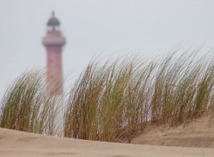  Nature la dune