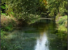  Nature Marais de Sissonne