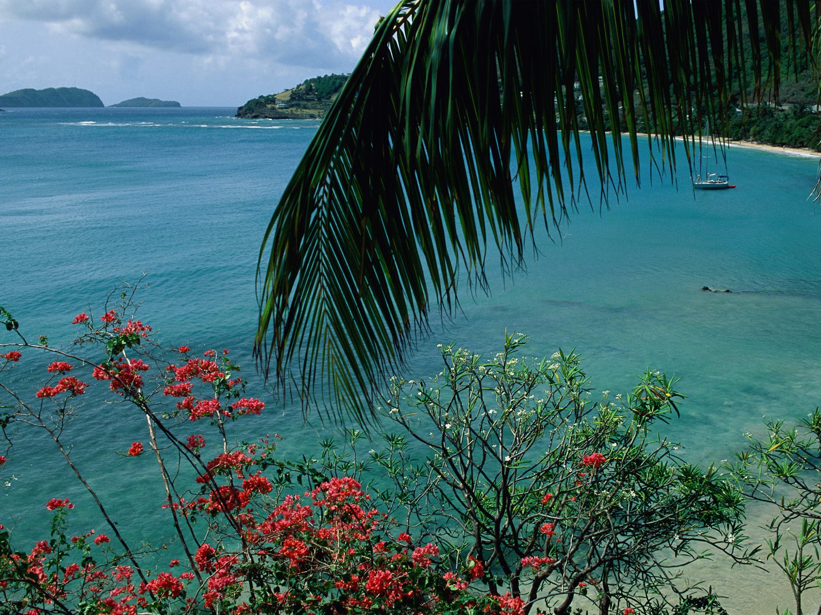 Fonds d'cran Nature Mers - Ocans - Plages 