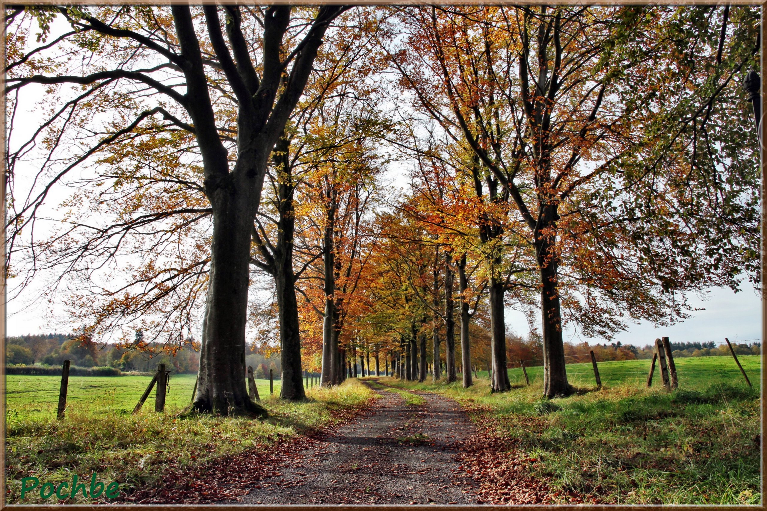 Fonds d'cran Nature Chemins 