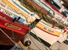  Boats ports du sud