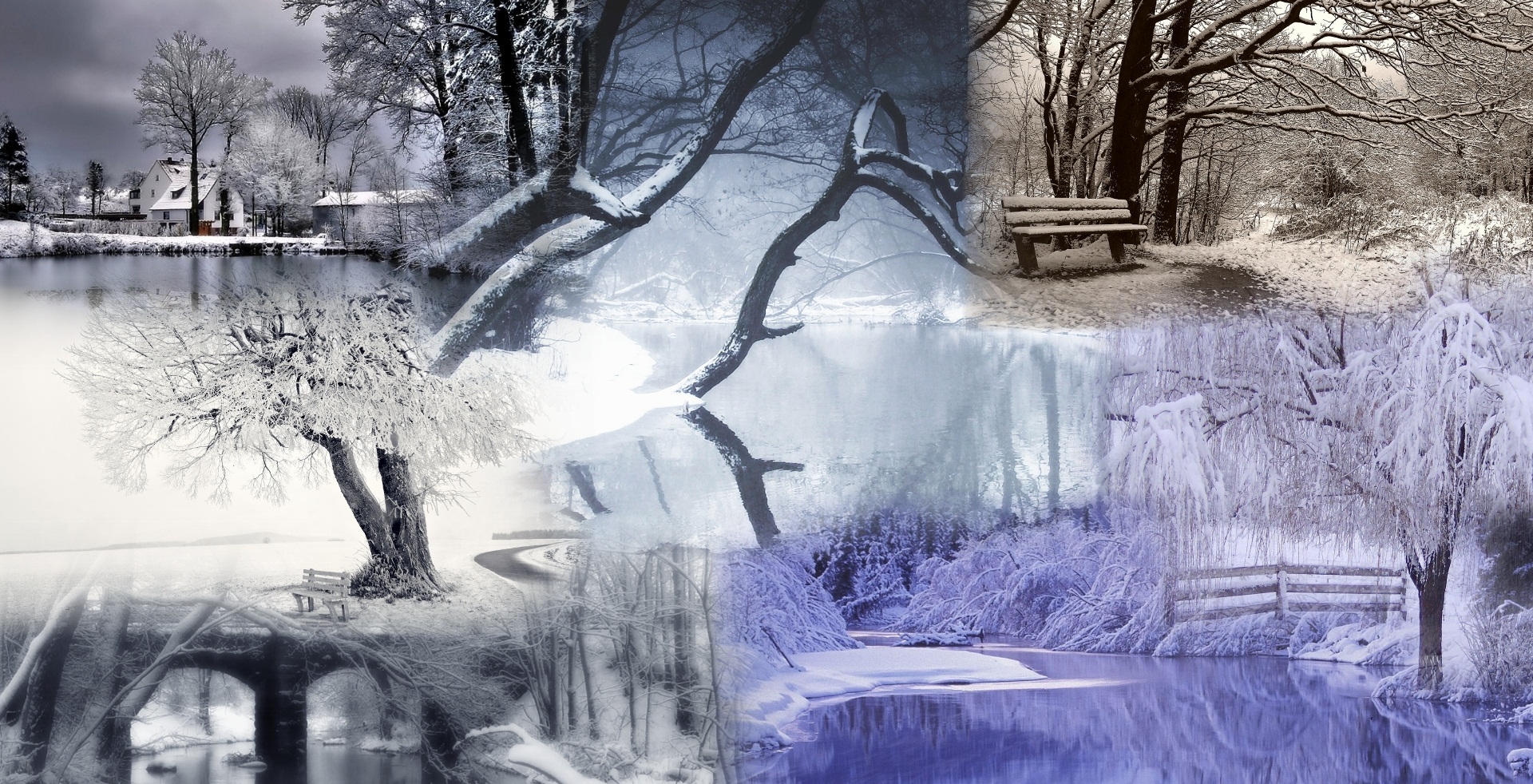 Wallpapers Nature Saisons - Winter 