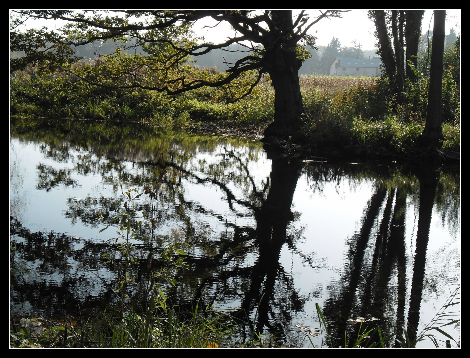 Wallpapers Nature Rivers - Torrents joli reflet 