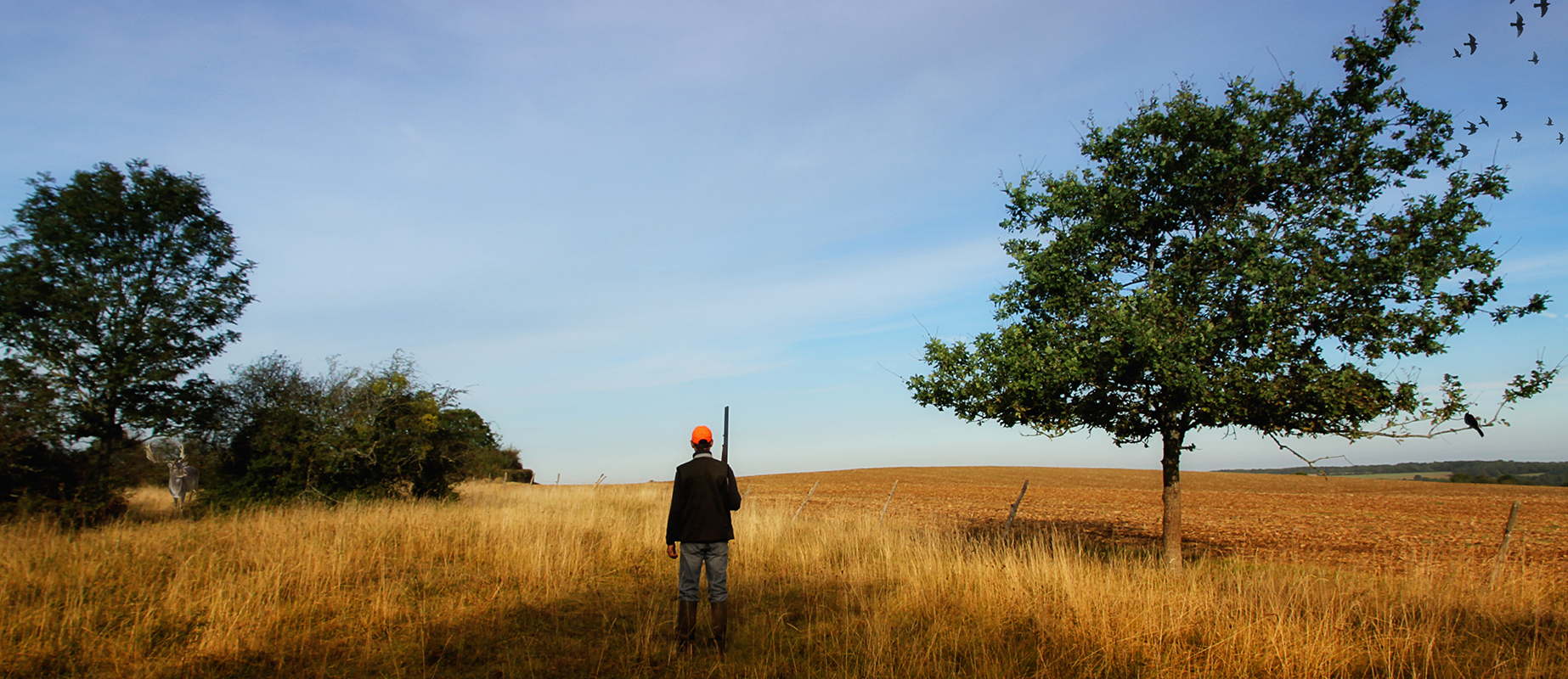 Wallpapers Nature Seasons - Fall Jour de chasse