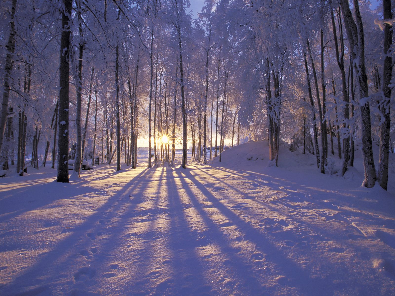 Fonds d'cran Nature Saisons - Hiver 