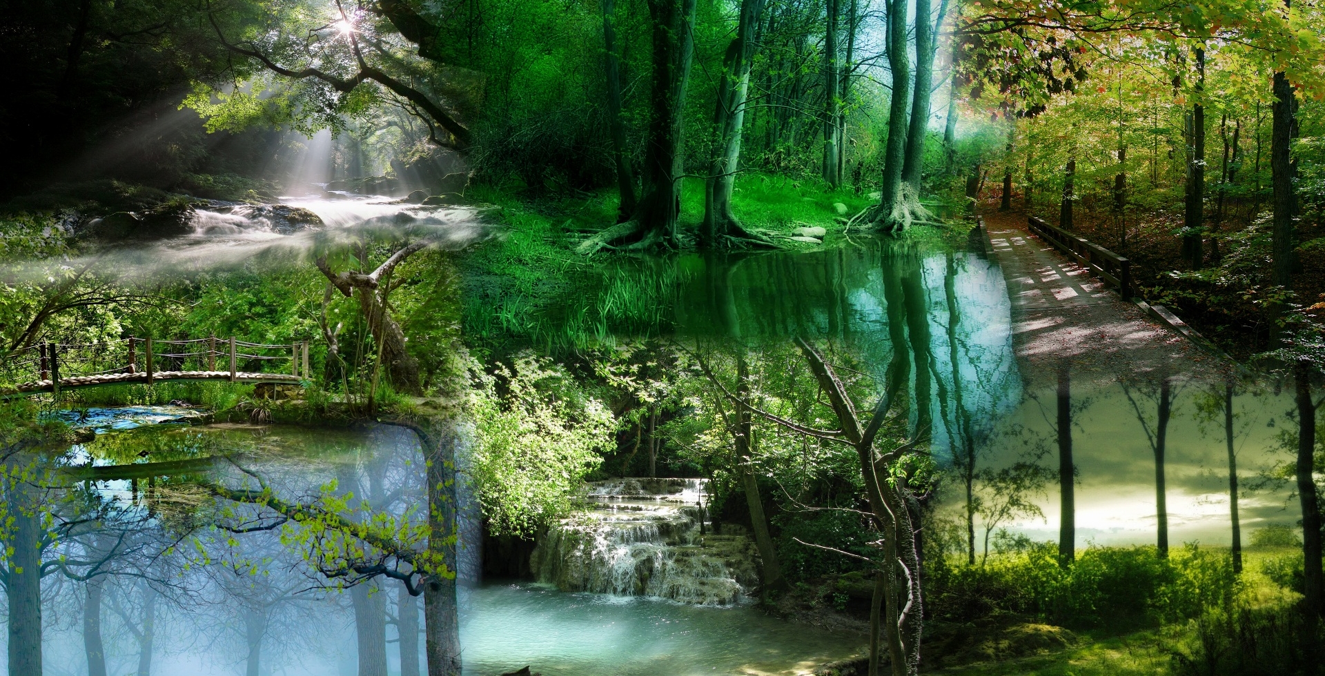 Wallpapers Digital Art Nature - Trees, plants 