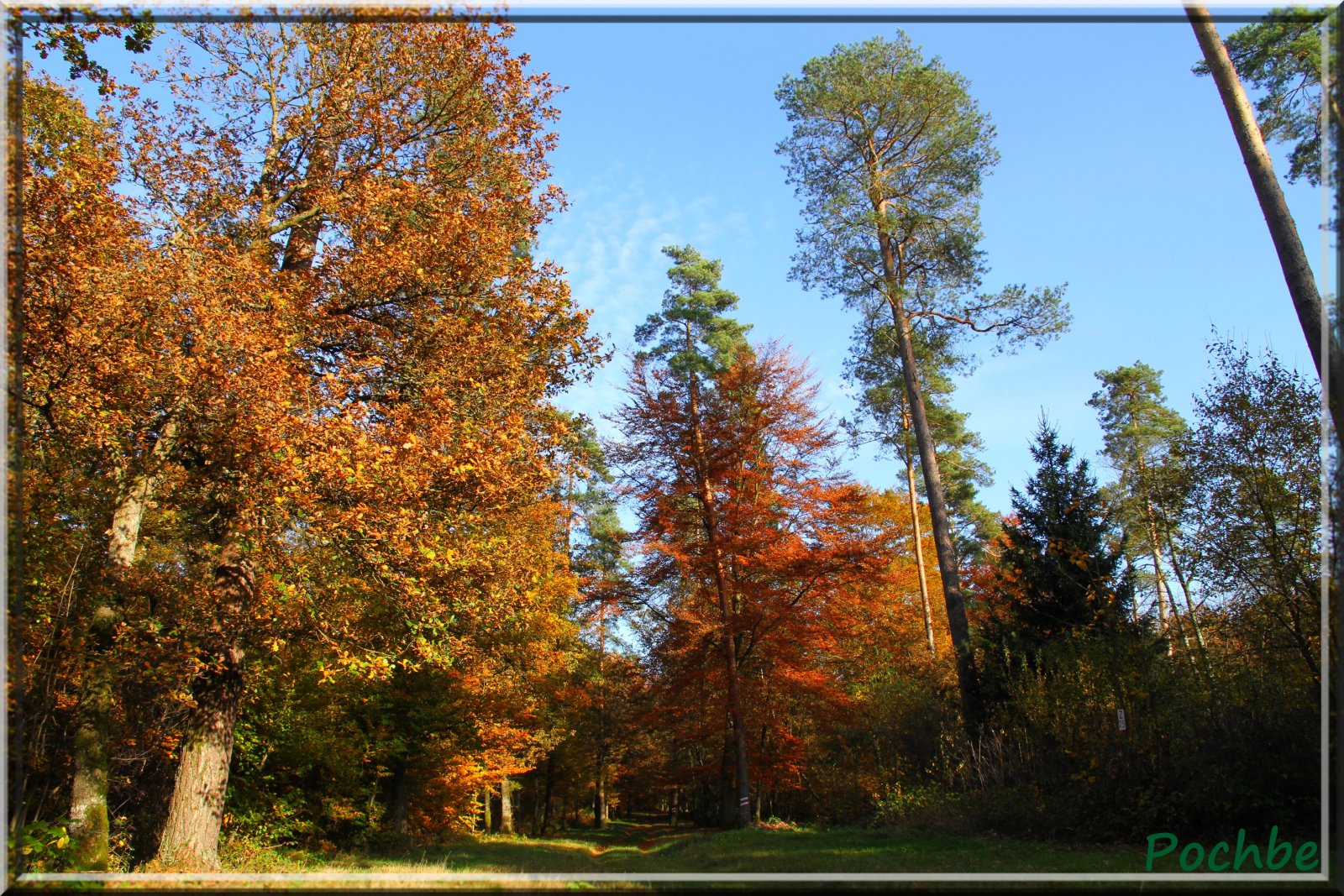 Fonds d'cran Nature Saisons - Automne 