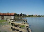  Nature etang dans la LOIRE